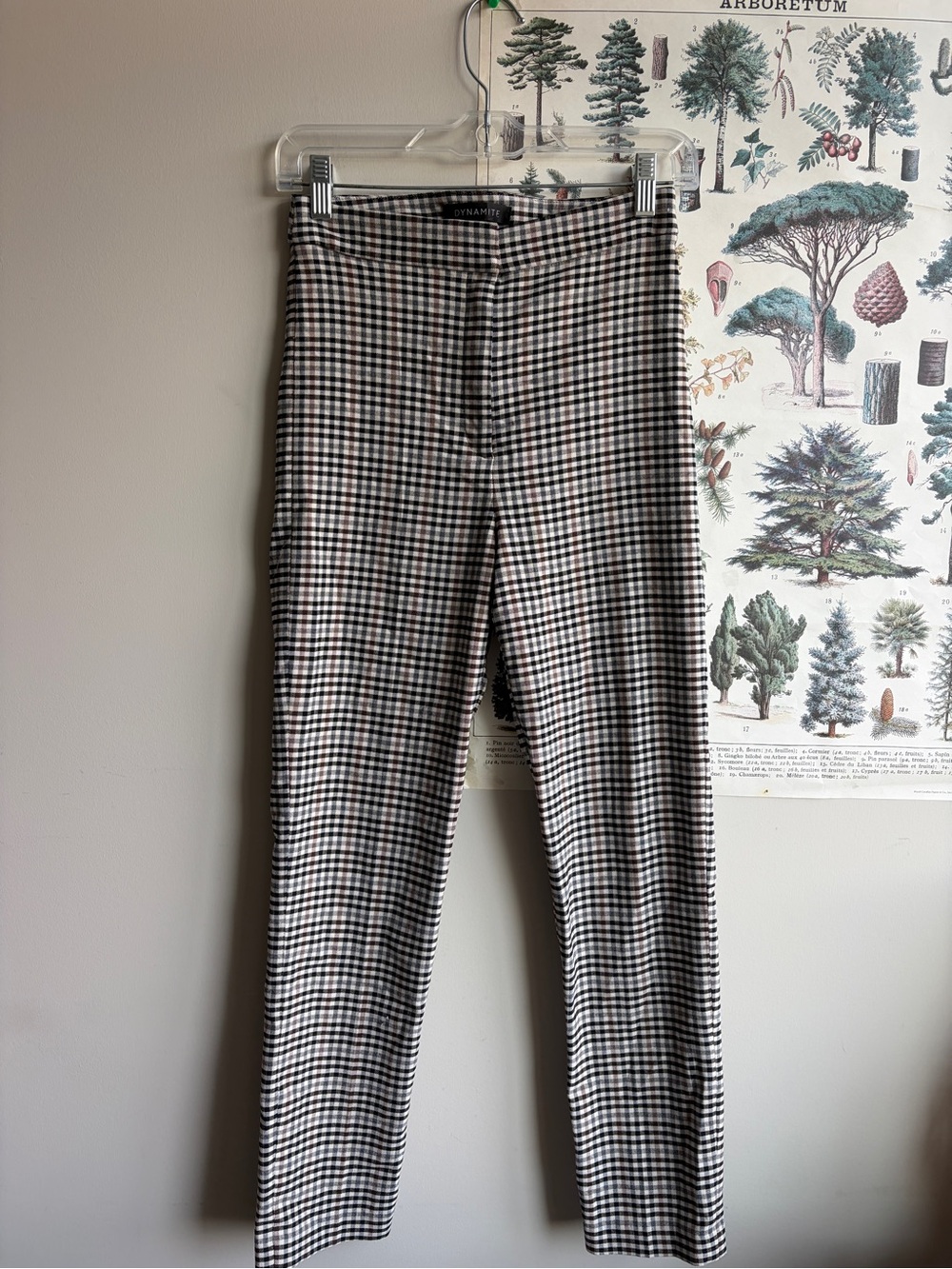 Dynamite Gingham Pants Brown black and white Size 6